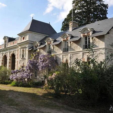 Emplacement Bucolique De Camping Dans Le Parc Du Chateau - Attention Tente, Materiels Et Electricite Non Fournis *