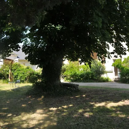 אתר קמפינג Emplacement Bucolique De Camping Dans Le Parc Du Chateau - Attention Tente, Materiels Et Electricite Non Fournis