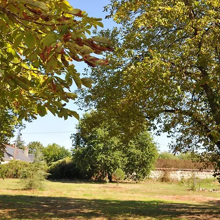 Emplacement Bucolique De Camping Dans Le Parc Du Chateau - Attention Tente, Materiels Et Electricite Non Fournis * Brain-sur-Allonnes
