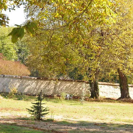 Emplacement Bucolique De Camping Dans Le Parc Du Chateau - Attention Tente, Materiels Et Electricite Non Fournis אתר קמפינג *