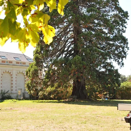 אתר קמפינג Emplacement Bucolique De Camping Dans Le Parc Du Chateau - Attention Tente, Materiels Et Electricite Non Fournis *